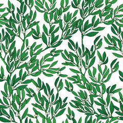 Christmas seamless pattern with hand draw mistletoe and berry. Backdrop with ilex branch and berries on white. Perfect for greeting cards, wallpaper, gift paper. Vector repeating background.
