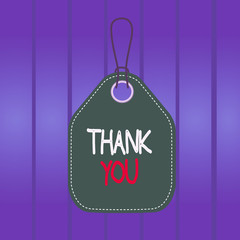 Writing note showing Thank You. Business concept for a polite expression used when acknowledging a gift or service Empty tag colorful background label rectangle attach string