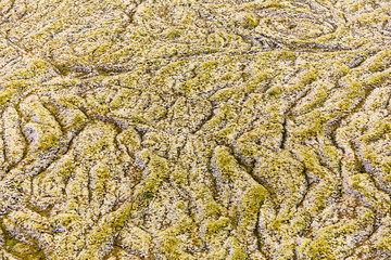 Iceland glacier aerial photography with beautiful abstract colours
