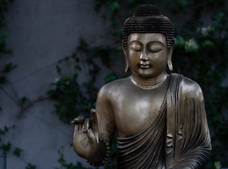 Buda en meditación con fondo desenfocado