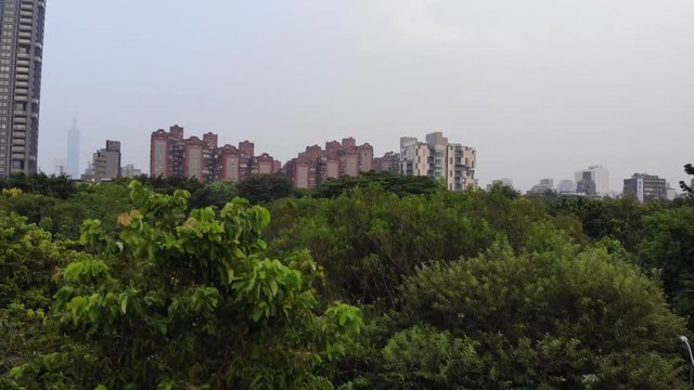 drone take off from daan park over the trees
