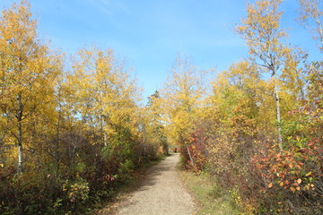 Autumn On The Trail, William Hawrelak Park, Edmonton, Alberta