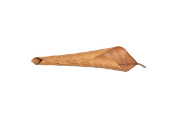 Dry leaf in isolated with clipping path,Brown color