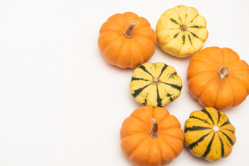 Flat-lay of mini pumpkins on white background