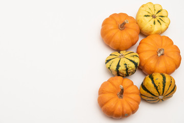 Flat-lay of mini pumpkins on white background