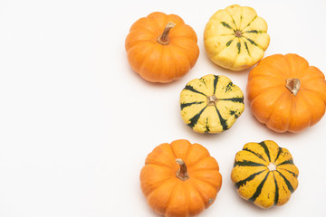 Flat-lay of mini pumpkins on white background
