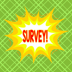 Text sign showing Survey. Business photo text research method used for collecting data from a predefined group Asymmetrical uneven shaped format pattern object outline multicolour design