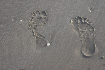 my feet , without footprints