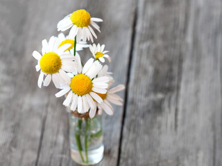 White daisy flower on rustic weathered wooden table