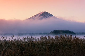 Fototapeta na wymiar Morning, Sunrise of Fuji mountain at Kawaguchi lake