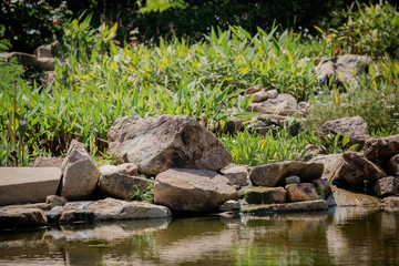 pond in japanese garden