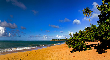 Northeast beach Pinones Puerto Rico - 297223030