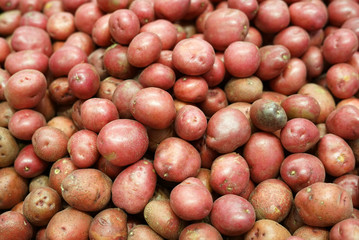 Fresh red potatoes in the supermarket for sale