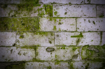old stone brick wall with green mold and moss texture with vignette. background, architecture.