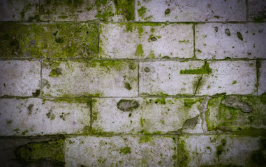 old stone brick wall with green mold and moss texture with vignette. background, architecture.