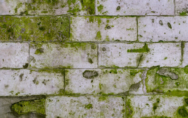 old stone brick wall with green mold and moss texture. background, architecture.