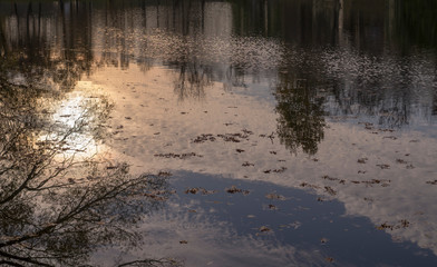 lake with reflections and fallen leaves at sunset in city park during autumn. nature, seasonal