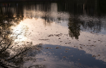 lake with reflections and fallen leaves at sunset in city park during autumn. nature, seasonal