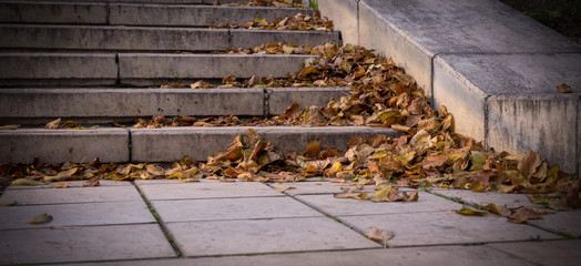 yellow autumn leaves on stone stairs of city park. vignette, background, seasonal.