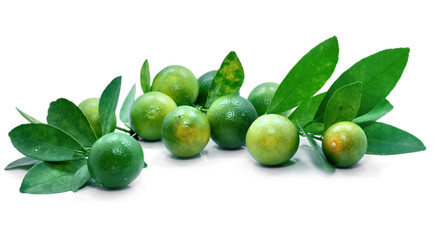 Group of kumquat fruit isolated on white background