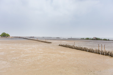 landscape with lake, mangrove forest and blue sky 