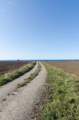 Fototapeta premium Country road to the coast