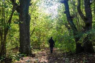 Woman walking in a bright deciduous forest