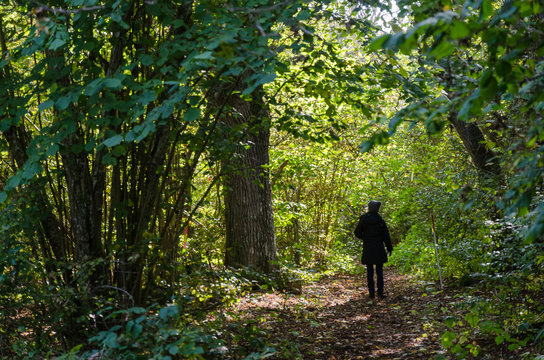 Woman on a footpath in a sunlit forest by fall season