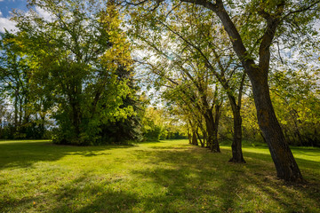 Fort Edmonton Footbridge Park