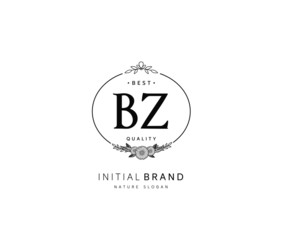 B Z BZ Beauty vector initial logo, handwriting logo of initial signature, wedding, fashion, jewerly, boutique, floral and botanical with creative template for any company or business.
