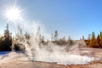 Steam Rises From Geyser at Norris Geyser Basin in Yellowstone National Park