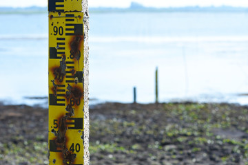 Water measurement scale appear after water in lake are very low level.