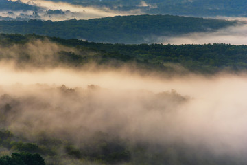 Fototapeta na wymiar Rolling hills and morning fog in Connecticut