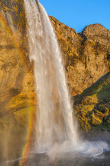 Waterfall Seljalandsfoss (part of Seljalands river taking its origin in Eyjafjallajökull volcano glacier) in southern Iceland, captured during sunset hour with a rainbow
