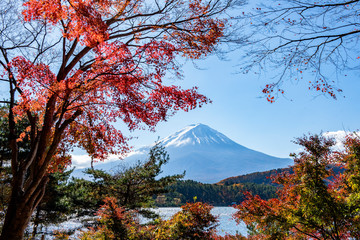 Fuji Mountain and Red Maple Trees at Kawaguchiko Lake in Autumn, Japan