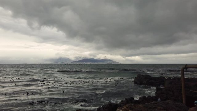 Birds fly over ocean on a stormy day, seen from Robben Island, slomo