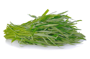Morning glory isolated on white background (spinach)