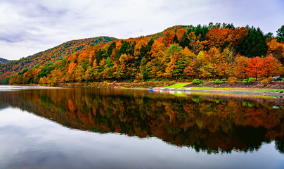 Beautiful Fall Foliage In the Mountains of Pennsylvania