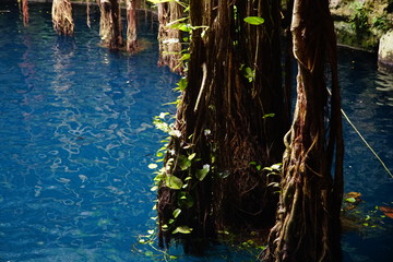 Cenote Oxman Hacienda San Lorenzo