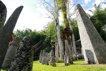 Upper Class Cemetery: Bori’ Parinding Megalith Burial Site, Toraja, Sulawesi, Indonesia