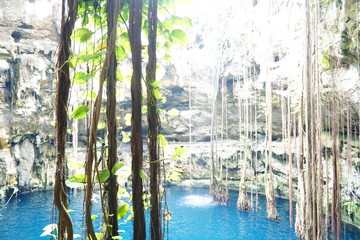 Cenote Oxman Hacienda San Lorenzo