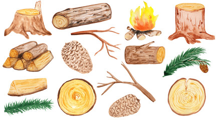 a large set of wooden elements - stump, cones, pine branches, firewood, branches, logs and round saw cuts. aqua illustration for prints, design and cards. hike and walks, eco style. rustic