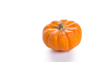 Small orange pumpkin on a white background. Copy Space       
