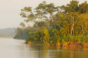 Rio Napo in Yasuni, national park,