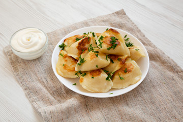 Homemade traditional polish fried potato pierogies on a white plate, side view. Closeup.