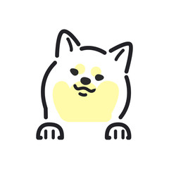 犬　ポーズ　表情　アップ　柴犬