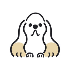 犬　ポーズ　表情　アップ　アメリカンコッカースパニエル