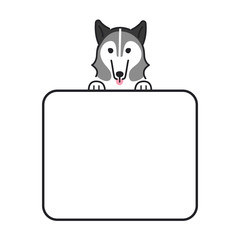 犬　ポーズ　表情　コピースペース　お知らせ　シベリアンハスキー