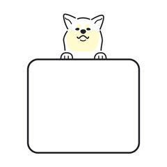 犬　ポーズ　表情　コピースペース　お知らせ　秋田犬