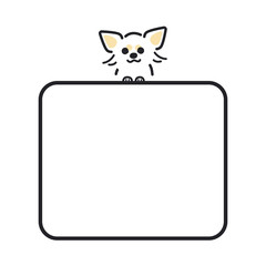 犬　ポーズ　表情　コピースペース　お知らせ　チワワ